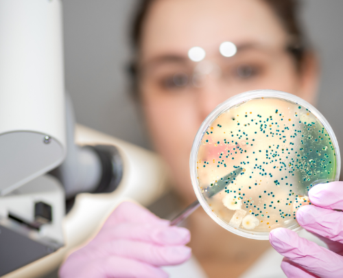 Quais os riscos da superbactéria e como combatê-las?