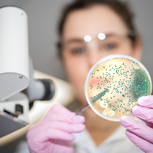 Quais os riscos da superbactéria e como combatê-las?